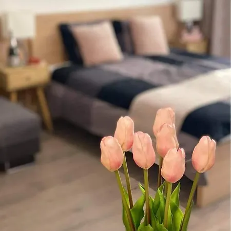And Apartment Velence