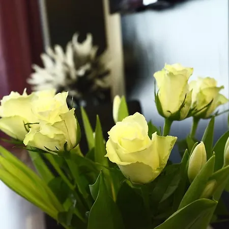 Apartament And