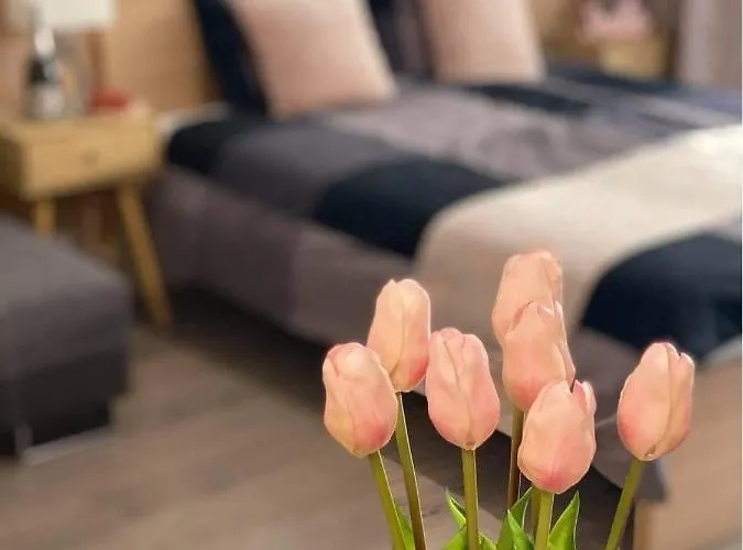 And Apartamento Velence