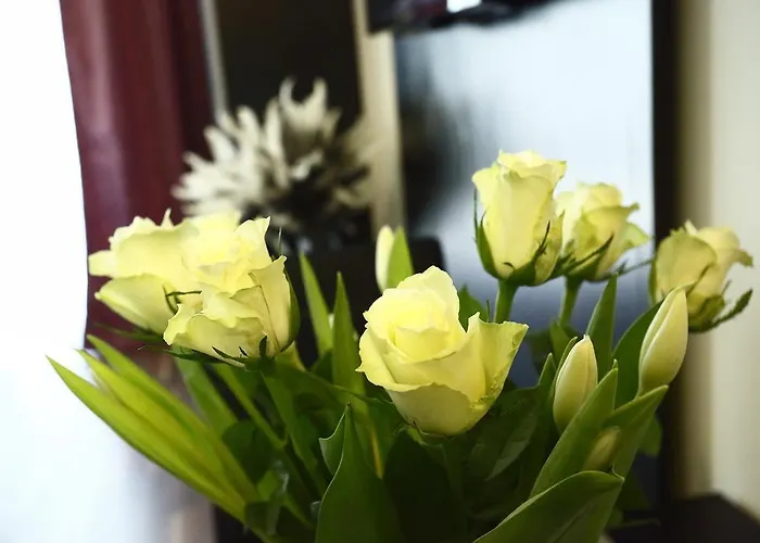 Appartement And